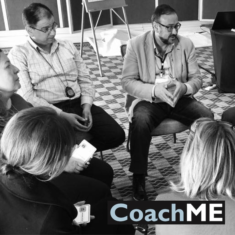 CoachME Professional Certificate in Executive, Team and Board Coaching -  Beckett Mcinroy